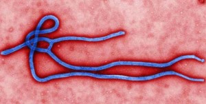 ebola-epidemia-3