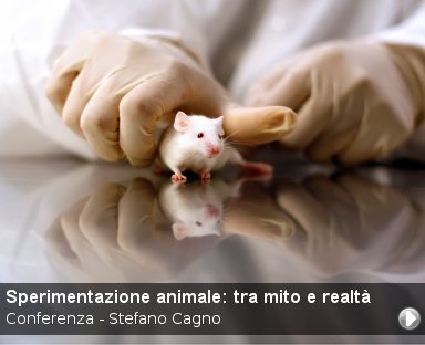 Italiani, ok a sperimentazione su animali