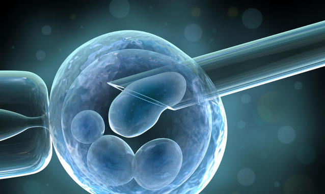 Embrioni scambiati, Dna conferma errore