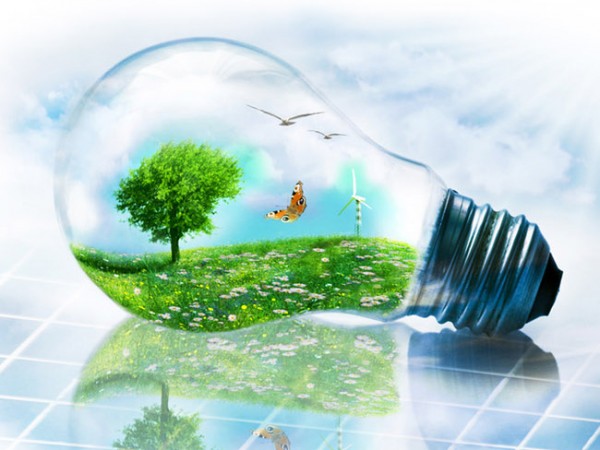  Arcelli (Enel):  “Con l'energia alternativa 30% in meno dei costi