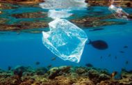 Sacchetti plastica per salvare ambiente: intenzione creatore era questa