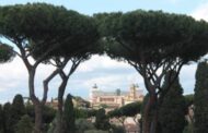 Roma perde pezzi. Ora anche i secolari pini